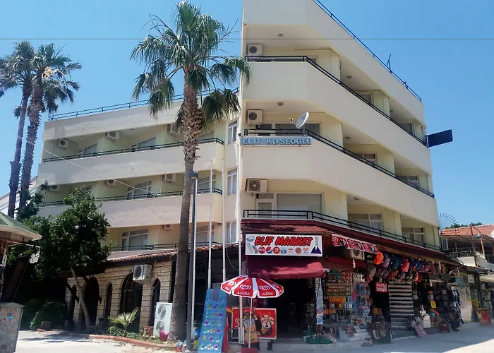 Elit Koseoglu